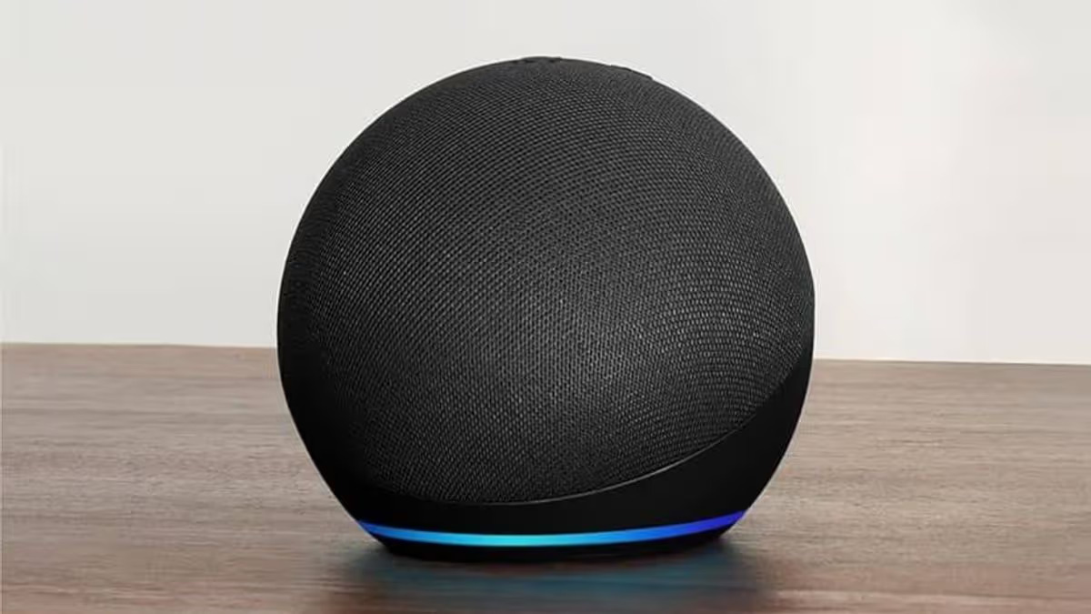 Amazon Echo Dot (newest model) | SparkOmi